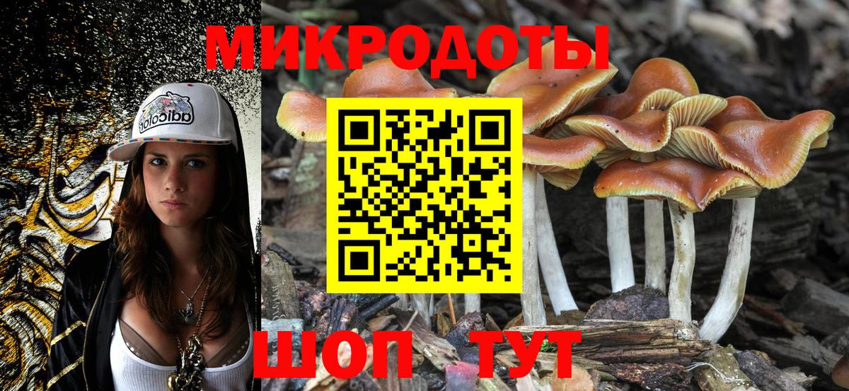 Галлюциногенные грибы Psilocybe  Вход с VPN  Свободный 