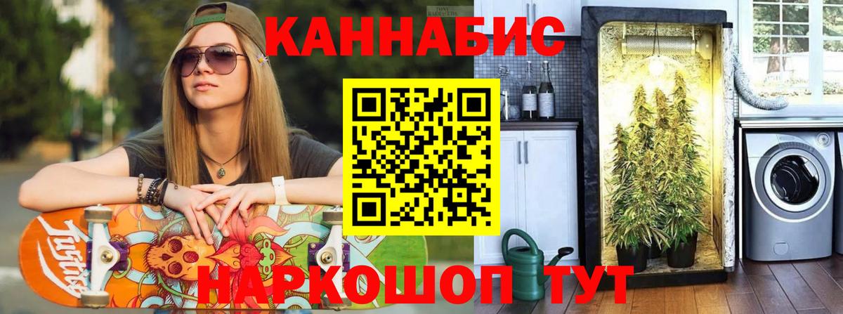 Канабис планчик  Вход с VPN  Канабис THC 21%  Свободный  Каннабис OG Kush 